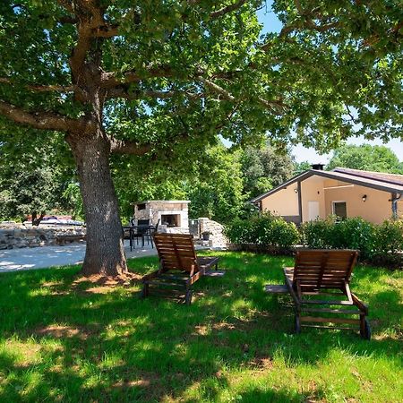 Vila Old Oak Holiday House Rovinj Exteriér fotografie